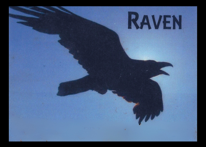 Raven